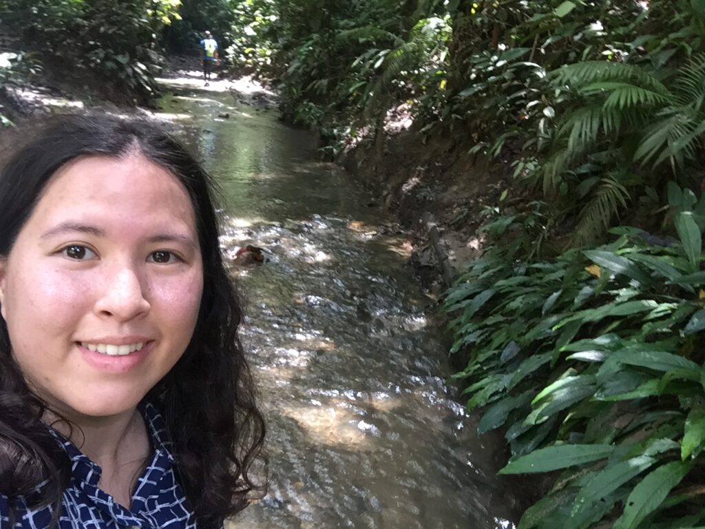 Brunei Ulu Temburong creek walk