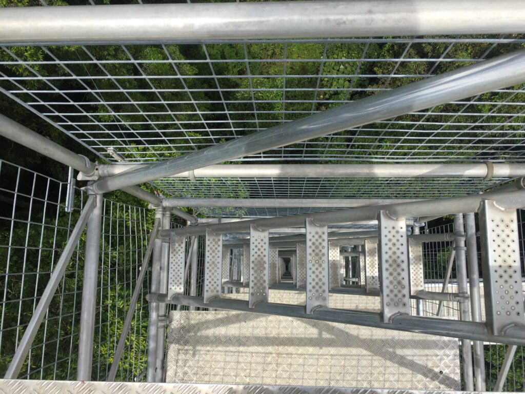 Brunei Ulu Temburong stairs view