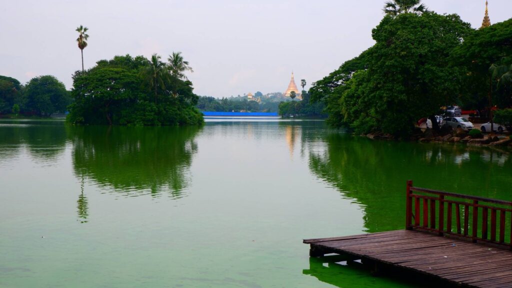 Myanmar-Kandawgyi-Nature-Park-Photo